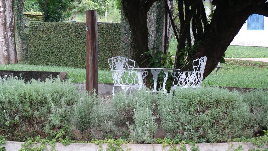 Cheiro Da Terra