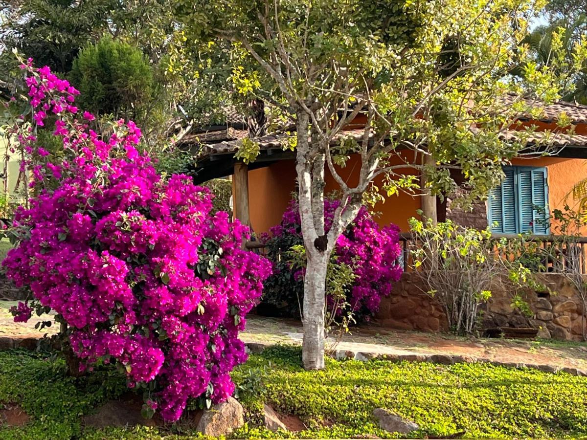 Inn Cheiro Da Terra *