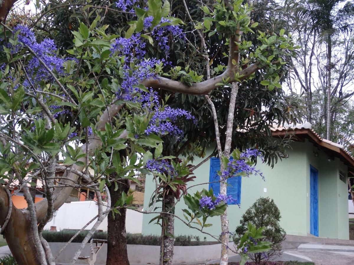 Cheiro Da Terra *